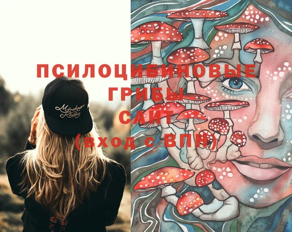 прущие грибы Алексеевка