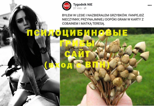 соль ск Алзамай