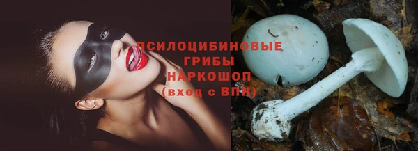соль ск Алзамай