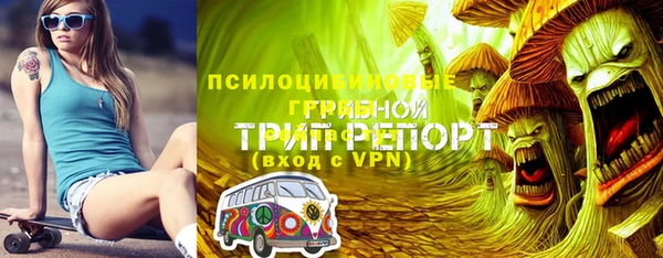 соль ск Алзамай