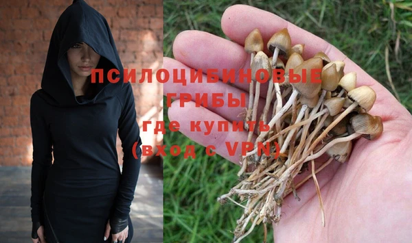 соль ск Алзамай