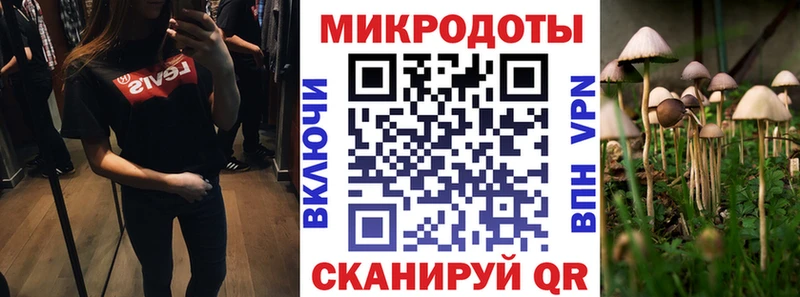 кракен ссылки  Ветлуга  Псилоцибиновые грибы GOLDEN TEACHER 